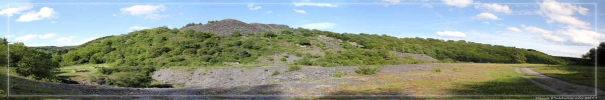 header 01
